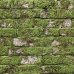Old mossy white bricks wallpaper by KOZIEL