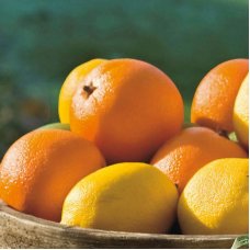Set 3 Oranges fruit by Adriani&Rossi