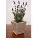 White rattan flower pot stand by Brucs